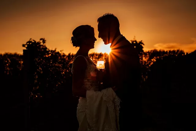 Aldwick evenings in the vineyard. 

#relaxedweddingphotography #chilledphotography #aldwickestate #relaxedweddingphotography #easygoingweddingphotography #nocheese #keepcalmdrinkaldwickwine #aldwickestateweddingphotographer #aldwickestateweddingphotography #bristolweddingphotographer #bristolwedding #bristolweddingphotography #2025weddings #2025wedding #bridetobe #bristolbride #adambarnardphotography